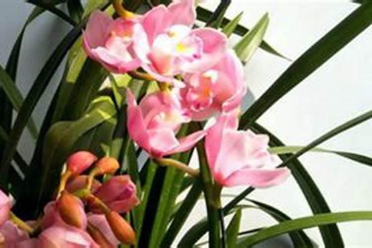 黄豆熬的水有什么作用？家里做豆酱,先将黄豆煮熟,我发现锅里煮黄豆的...