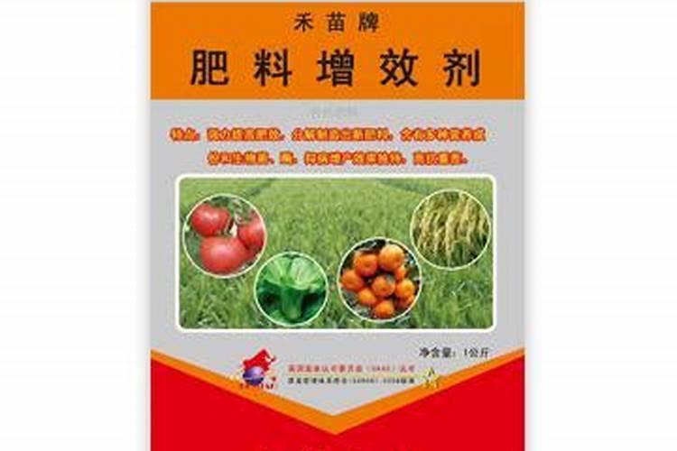 Y两优3218栽培要点