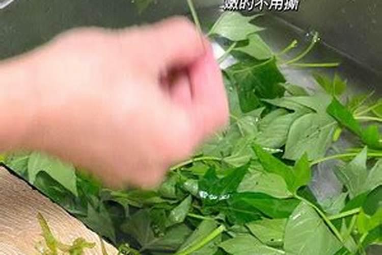 红糖做叶面肥的配方