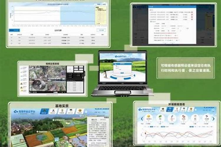 怎样才能让禾苗长得更好？