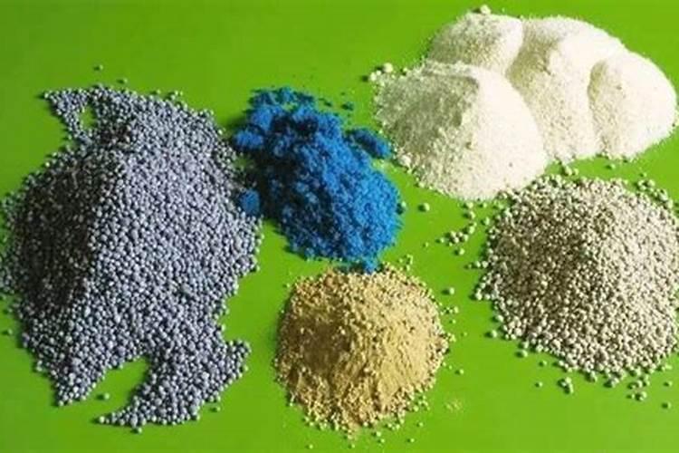 养月季花施肥,喷叶和灌根,哪个效果最佳？