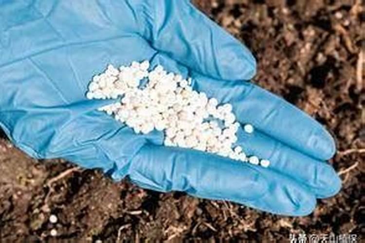 常见的氮肥有哪些