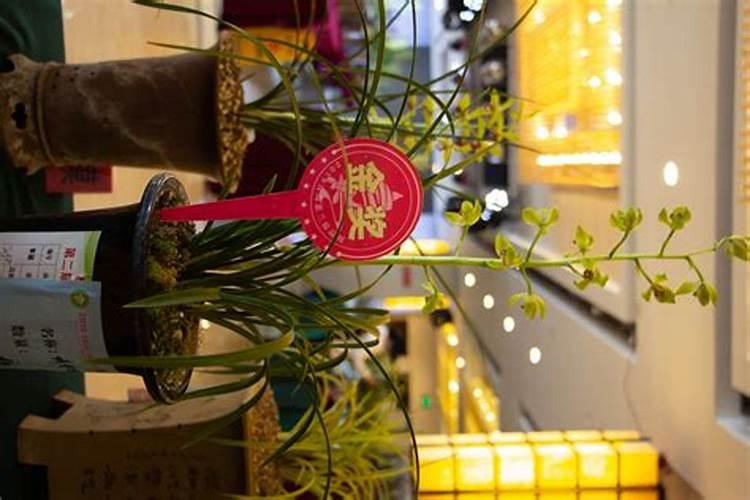 河北东光化肥厂