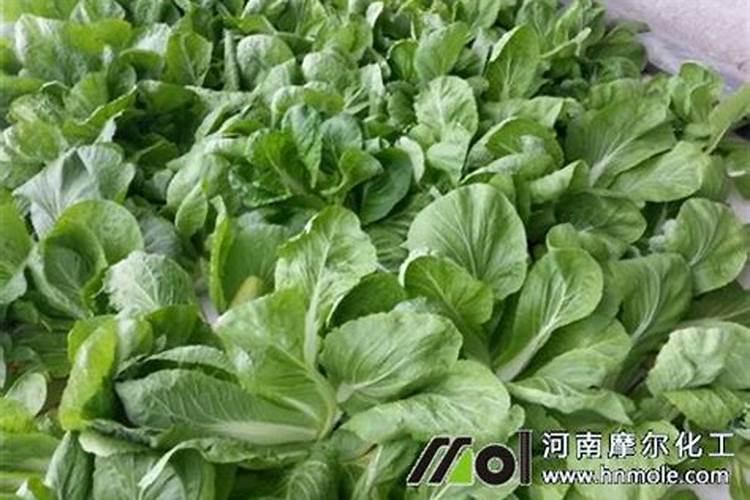 水溶肥冲上几天见效