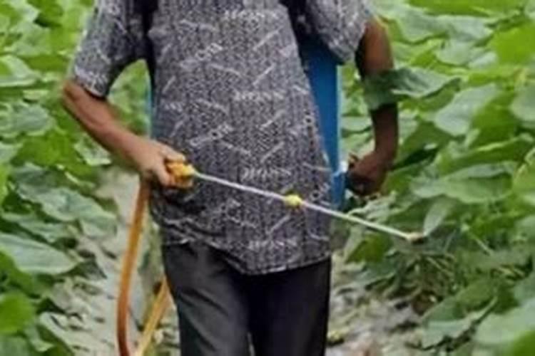 苯甲嘧菌酯多少度不能使用