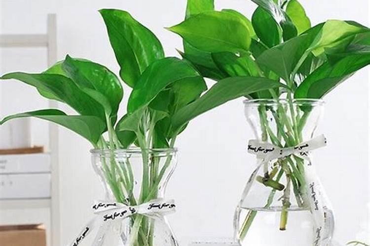 为什么雨有臭味