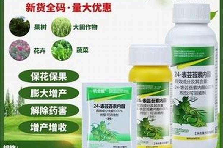 芸苔素内酯十大害处