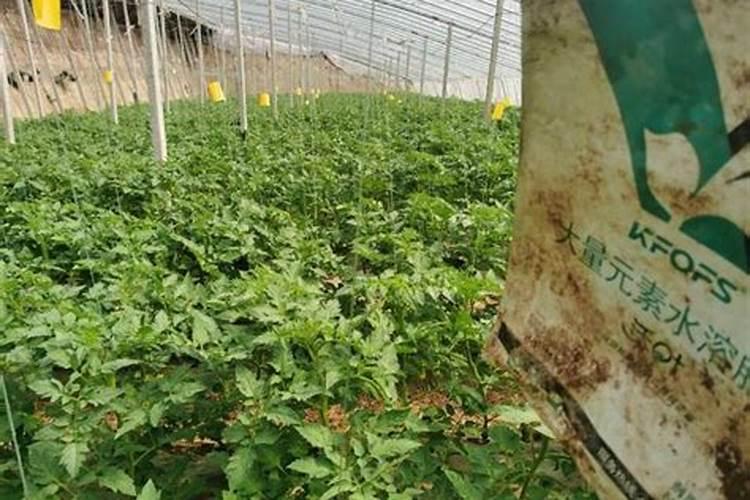 石家庄春雨石家庄开发区春雨生物工程有限公司的简称