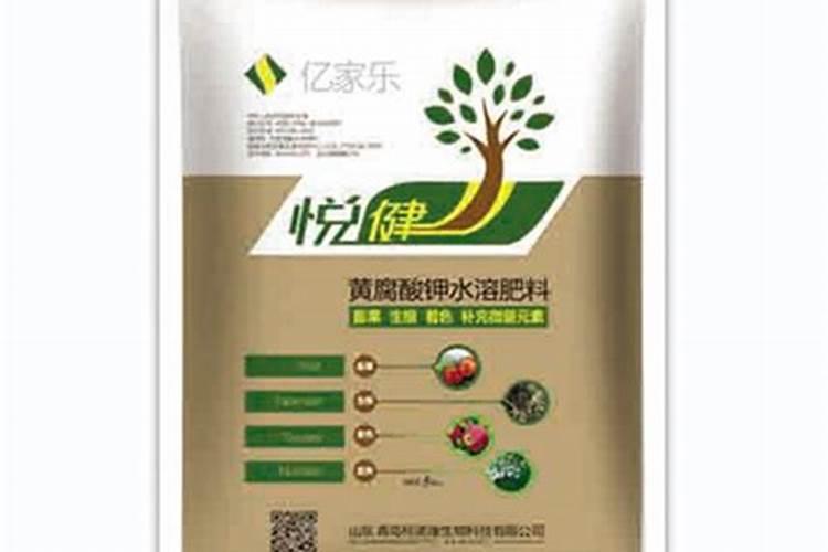 米其林餐厅必吃10道菜