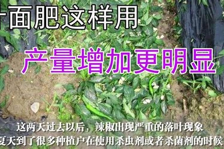 红糖叶面肥的配方