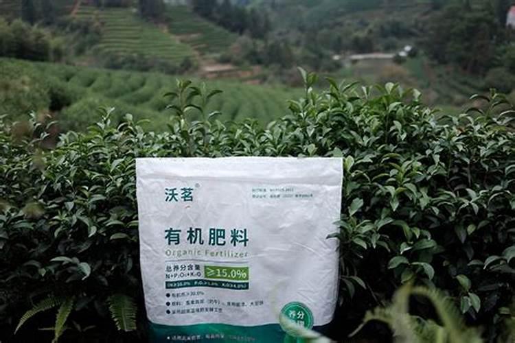 荔枝开花期施什么肥