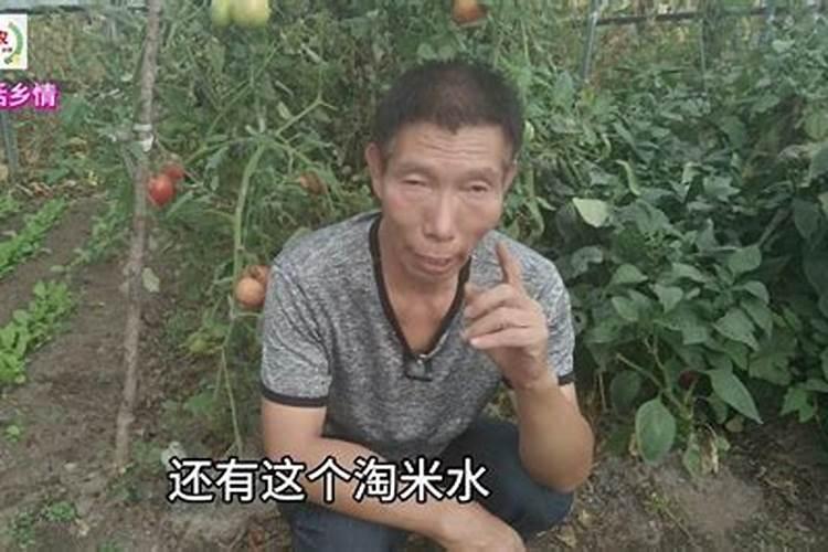 草莓结果期打什么叶面肥长的快？草莓保花保果叶面喷什么好？