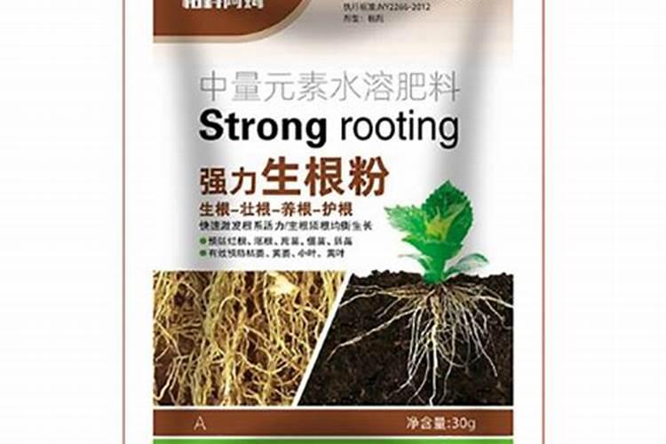 ﻿大黄的高产栽培技术