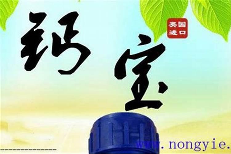 草莓开花时怎样施农家肥
