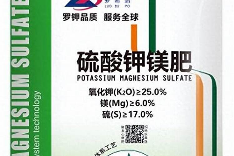 月季根系不好怎么养根