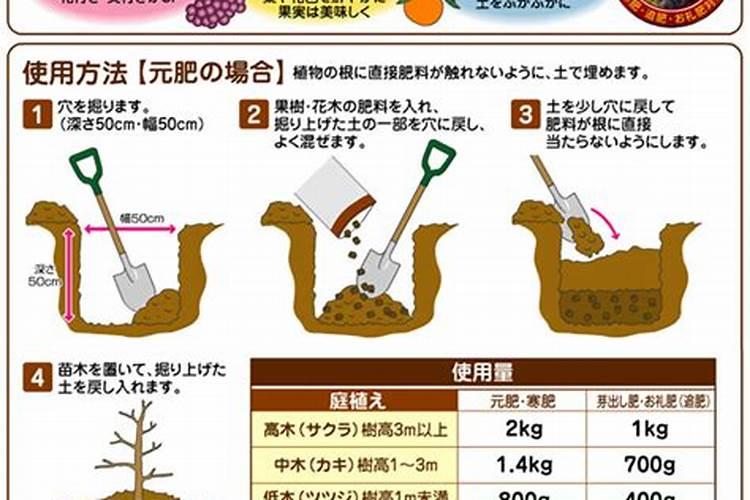 茶花施什么肥最好