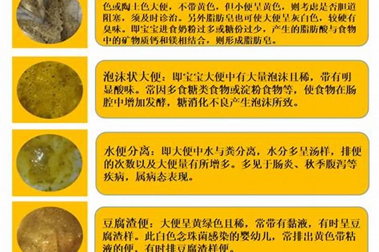 人体所需七大营养素是哪些