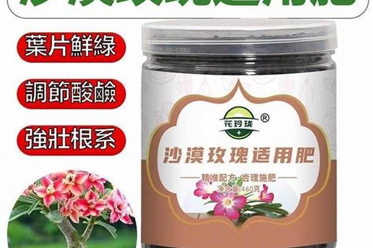 如何用复合肥养花