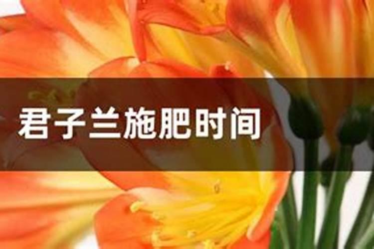 水溶肥施了多久不能淋雨？