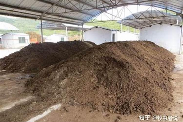 种红薯如何使用钾肥