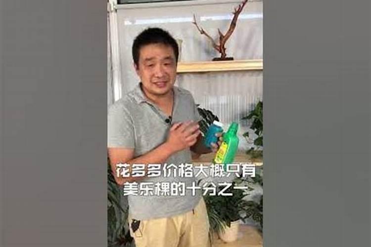 桂花树施肥用什么肥料好