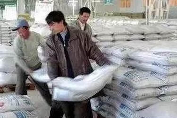 大杉木树应该施什么肥料