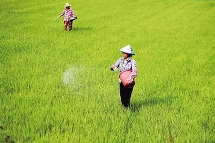 十大名牌磷酸二氢钾