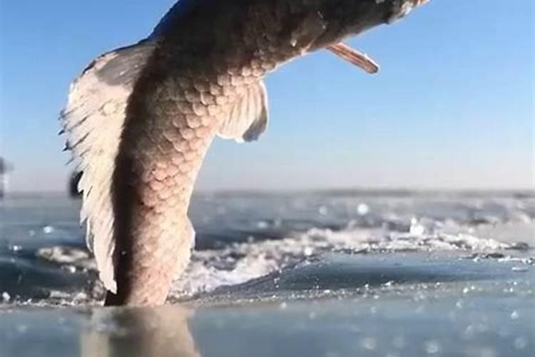 如何鉴别晶体钙肥的真假？