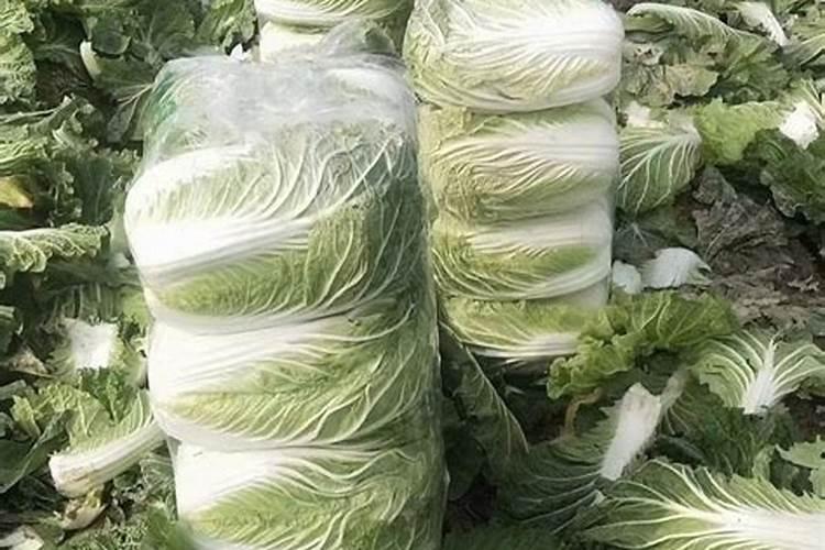 水稻一亩地用多少钾肥