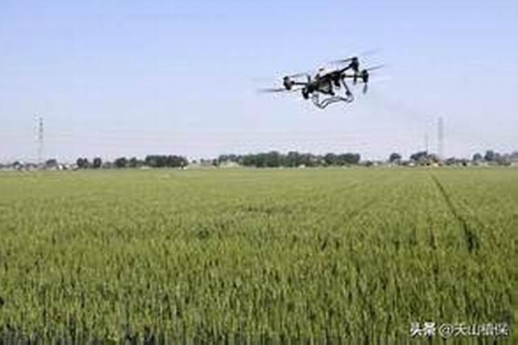 小麦第一遍药什么时候打合适 (第一遍用什么药喷施最好)