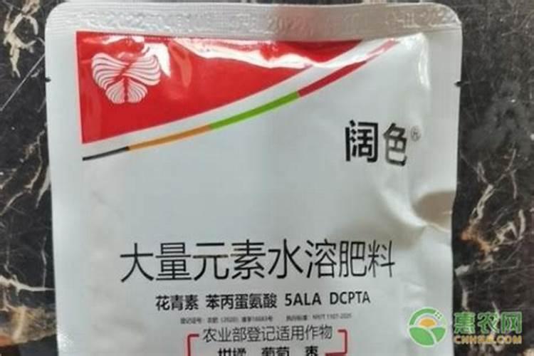 青菜需要多久浇一次水