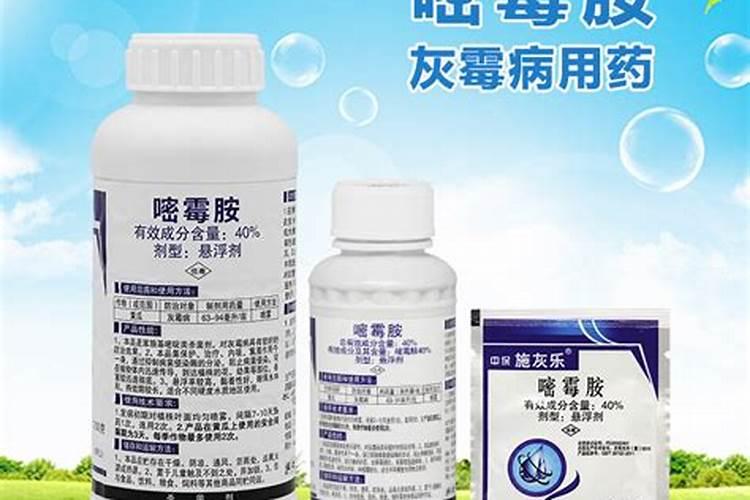 请问韭菜灰霉病的发病原因和防治措施？