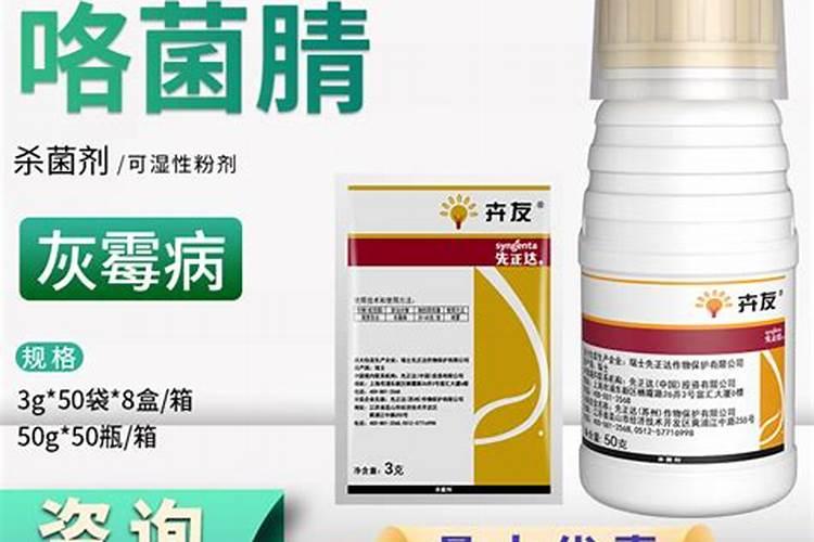 请问玉树上面长满霉斑是怎么回事？求解答,拜托啦