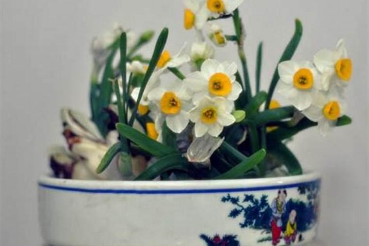 复合肥,硫酸钾与氯化钾怎么区别,谢谢!