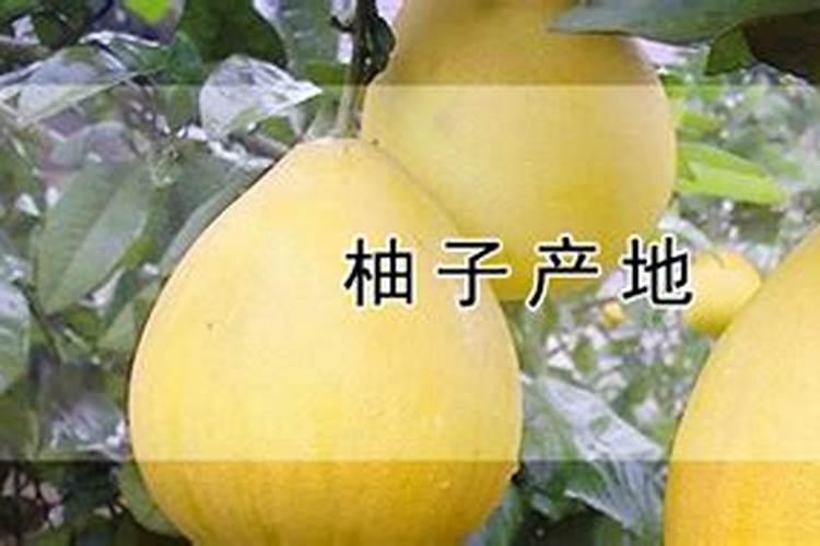 哪种蔬菜对水分需求少,基本不用怎么浇水？