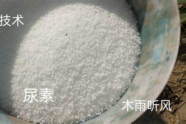 草莓定植后,浇好水,用好肥,快速缓苗促壮棵,为后期高产打基础!百度...