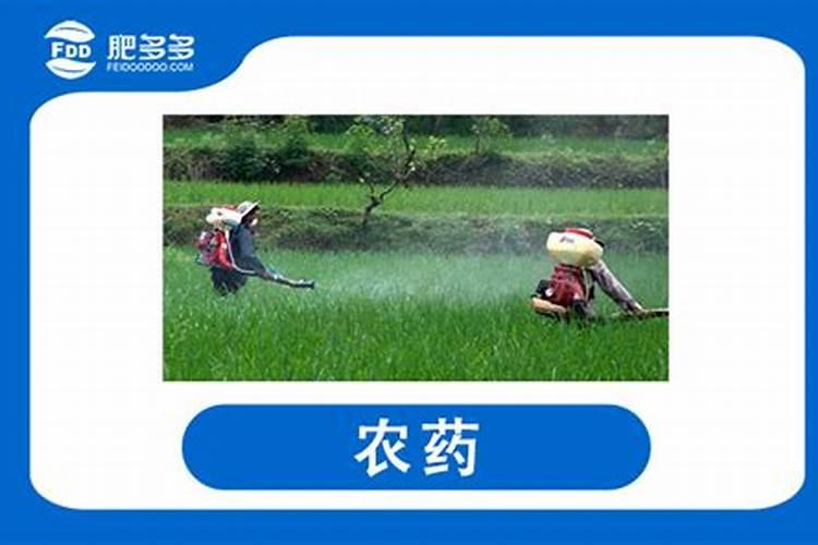 农资包括哪些东西