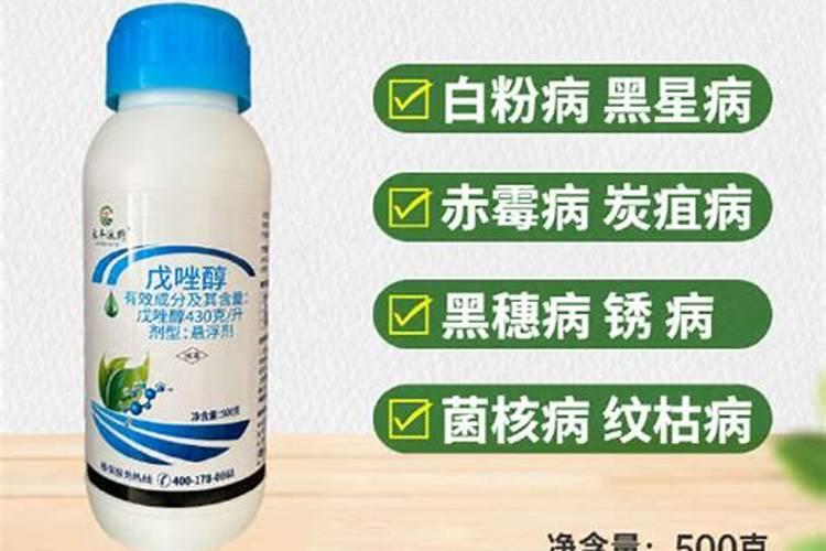 长西瓜的是什么肥料