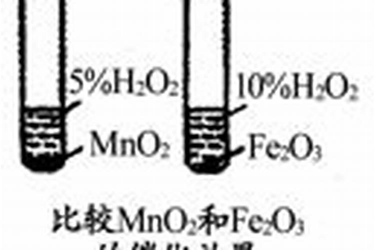 多肉植物一般用什么肥