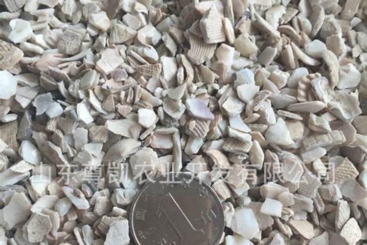 多肉用什么肥料