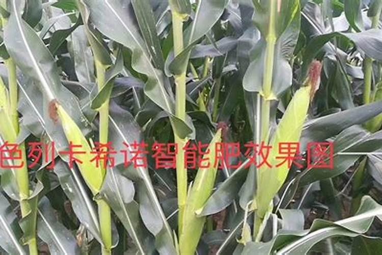 水溶肥是酸性还是碱性