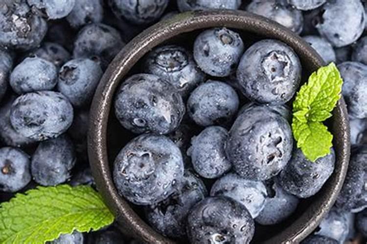 蓝莓施什么肥最好