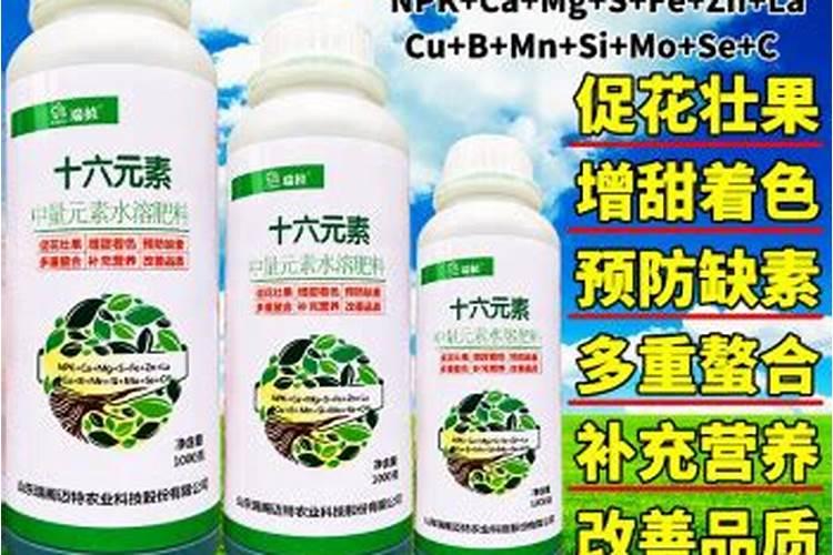 叶面钙肥有哪些