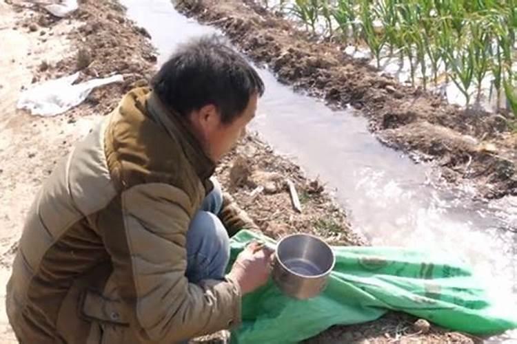 复合肥可以兑水浇花吗