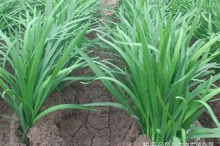 这药可以打住螨虫吗