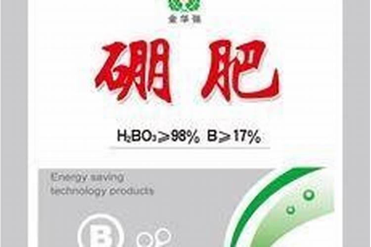 硼肥的功效与作用