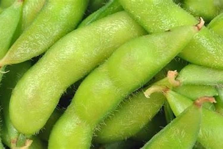 第一年葡萄小苗施什么肥(刚种葡萄苗用什么肥料长得快)