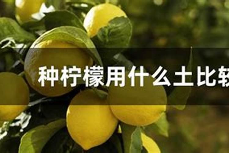 名不见经传的黄连素,居然能治12种皮肤病!