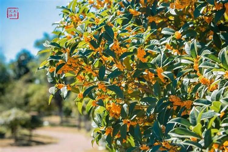 氮肥有哪些 常见氮肥有什么