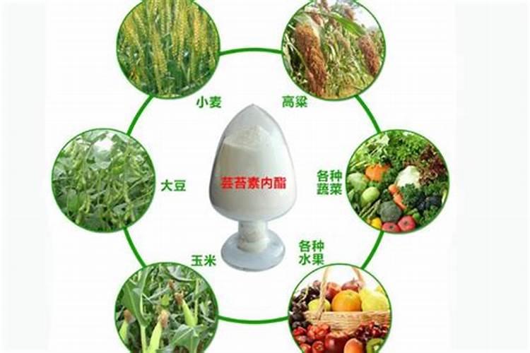 芸苔素能与除草剂混合使用吗